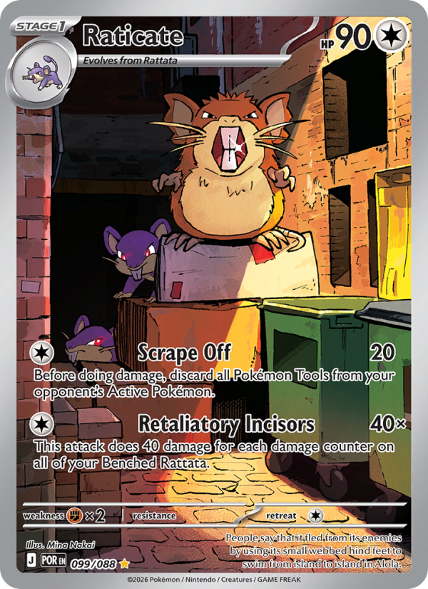 Raticate (FR)
